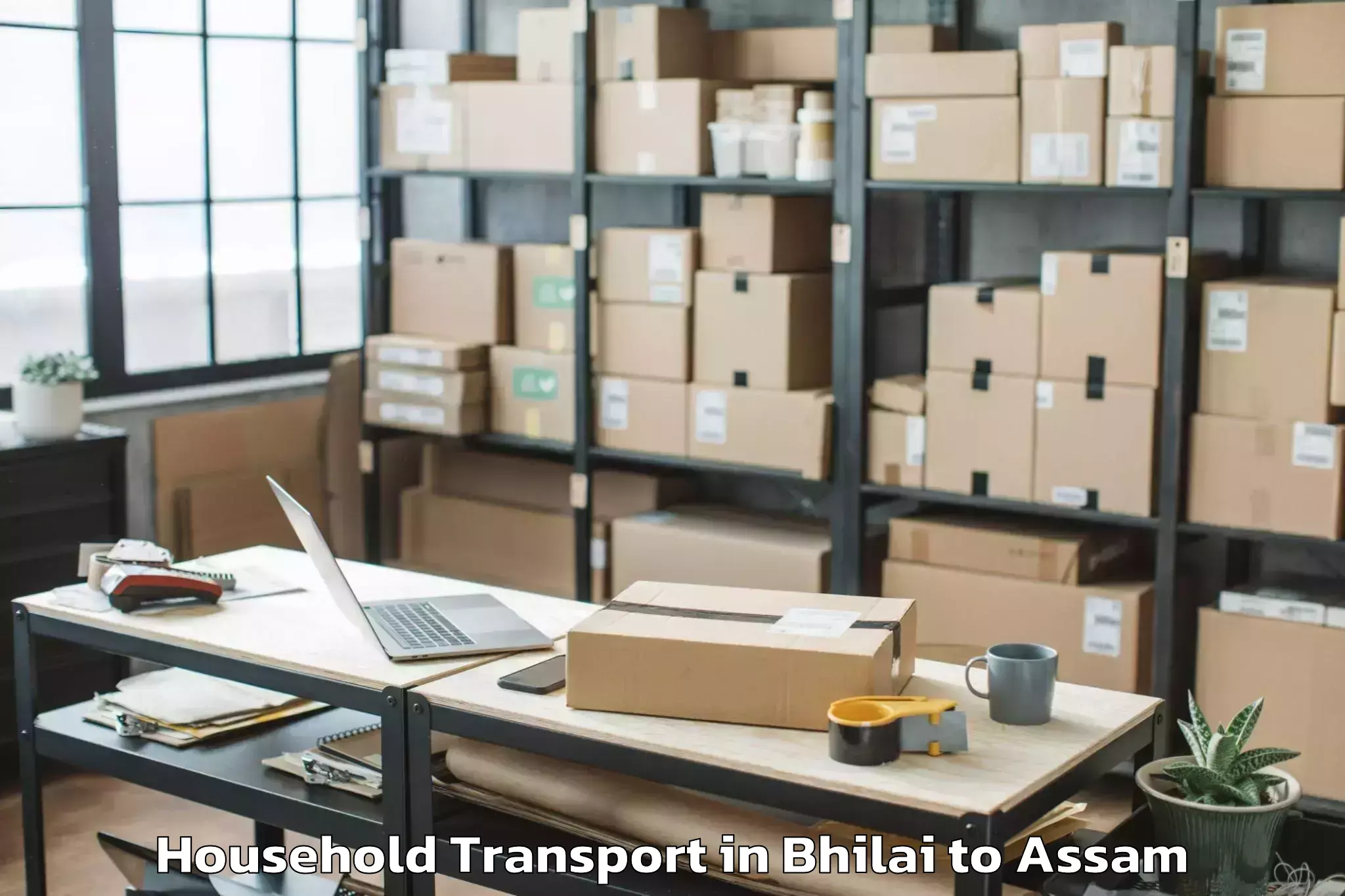 Leading Bhilai to Namrup Household Transport Provider